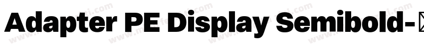 Adapter PE Display Semibold字体转换